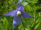 photo thumbnail #12