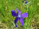 photo thumbnail #11