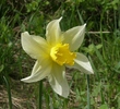 photo thumbnail #14