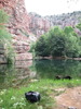 photo thumbnail #9