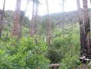 photo thumbnail #6