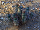 photo thumbnail #3