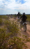 photo thumbnail #15
