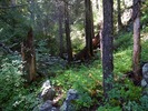 photo thumbnail #10