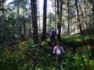 photo thumbnail #1