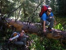 photo thumbnail #3