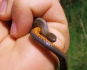 photo thumbnail #7