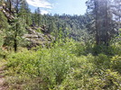 photo thumbnail #11