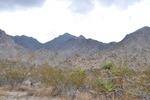 photo thumbnail #3