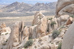 photo thumbnail #13