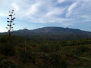 photo thumbnail #2