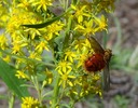 photo thumbnail #2