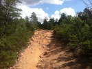 photo thumbnail #4