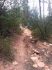 photo thumbnail #7