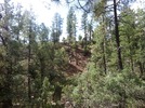 photo thumbnail #9