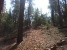 photo thumbnail #12