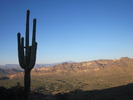 photo thumbnail #2