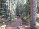 photo thumbnail #7