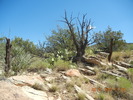 photo thumbnail #9