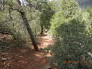 photo thumbnail #15