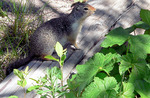 photo thumbnail #2