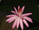 photo thumbnail #15