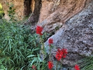 photo thumbnail #2