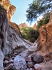 photo thumbnail #15