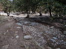 photo thumbnail #13