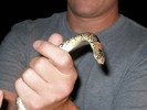 photo thumbnail #6