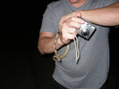 photo thumbnail #2