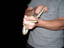 photo thumbnail #3