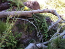 photo thumbnail #8