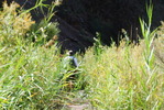 photo thumbnail #7