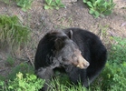 photo thumbnail #1