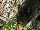 photo thumbnail #6