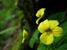 photo thumbnail #11