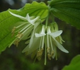 photo thumbnail #14