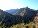 photo thumbnail #5