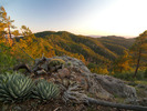 Featured Full Photo