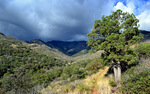 photo thumbnail #7