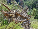 photo thumbnail #11