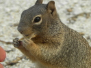 photo thumbnail #5