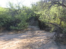 photo thumbnail #3