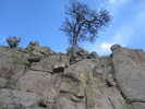 photo thumbnail #10