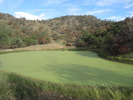 photo thumbnail #11