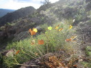photo thumbnail #13