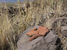 photo thumbnail #7
