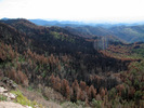 photo thumbnail #15