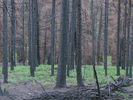 photo thumbnail #11